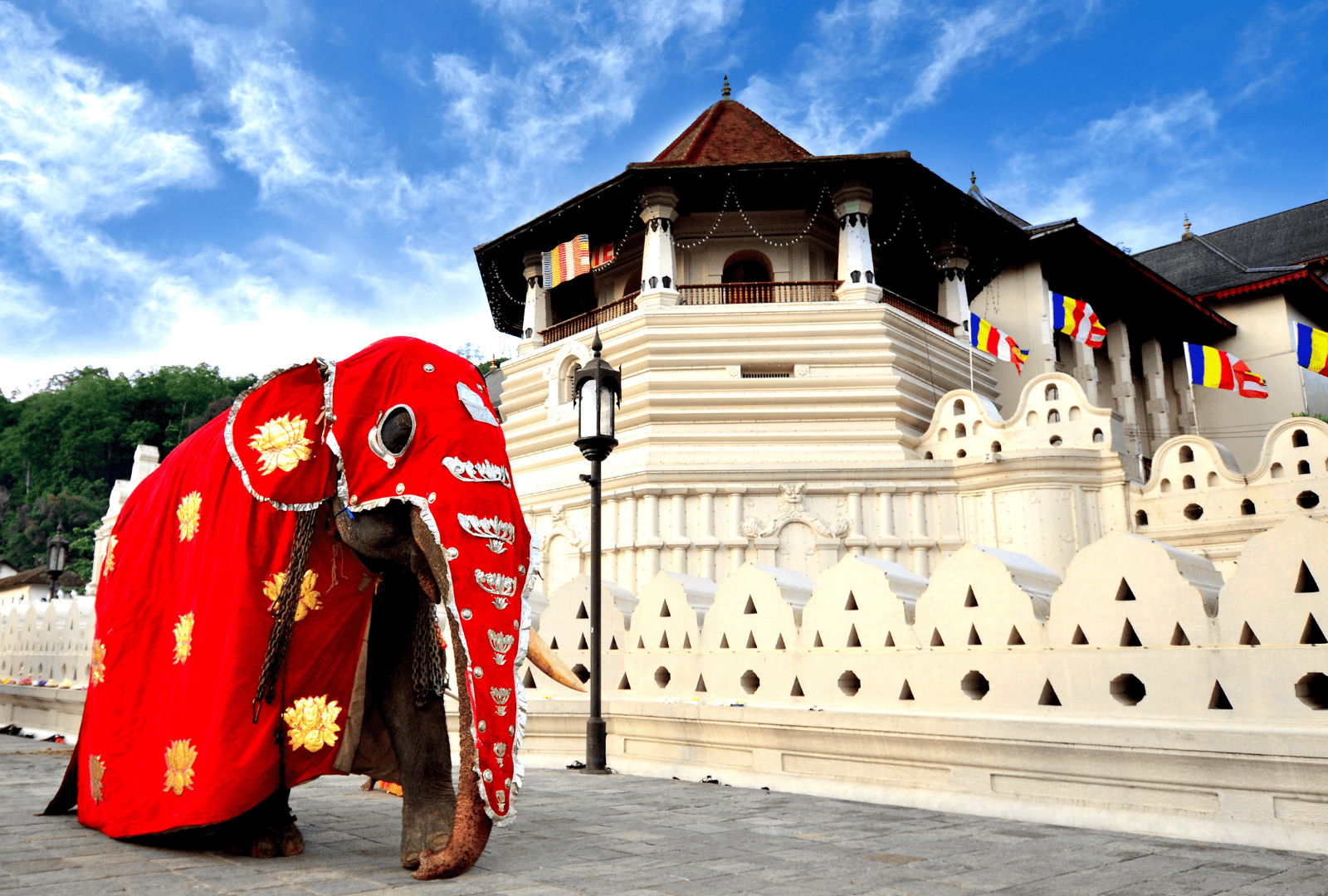 Untitled design - 2025-09-01T113828.675