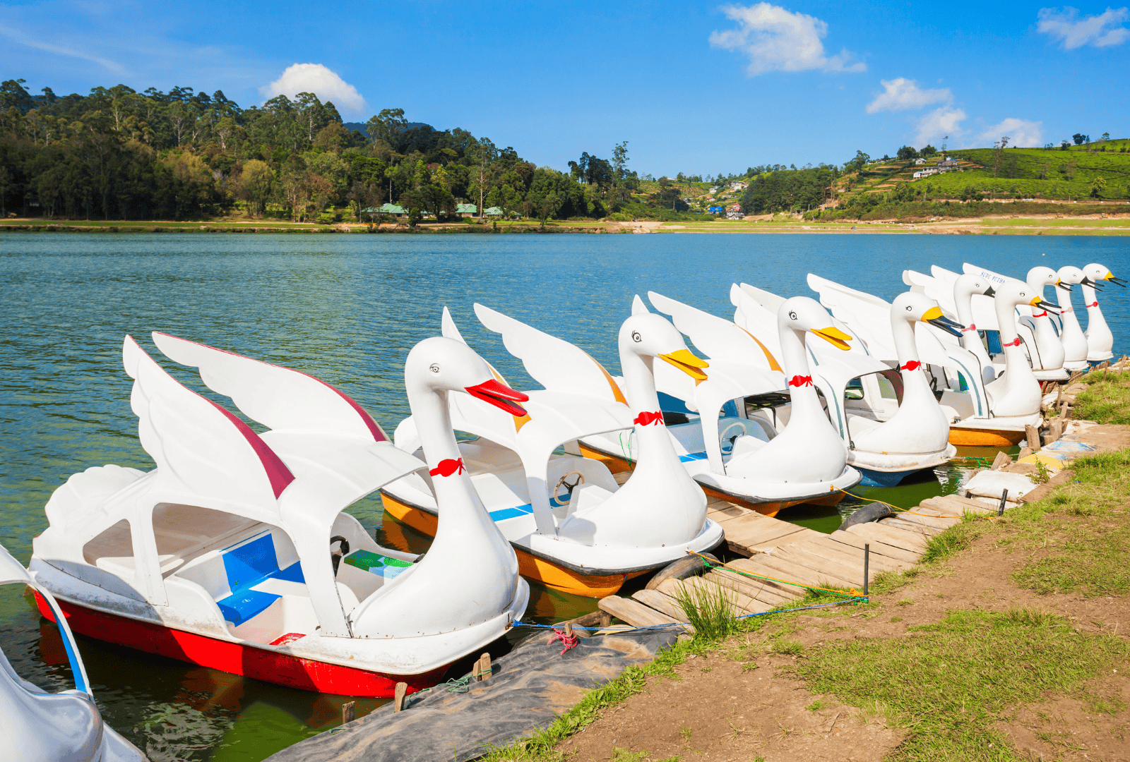 Untitled design - 2025-09-01T121600.865