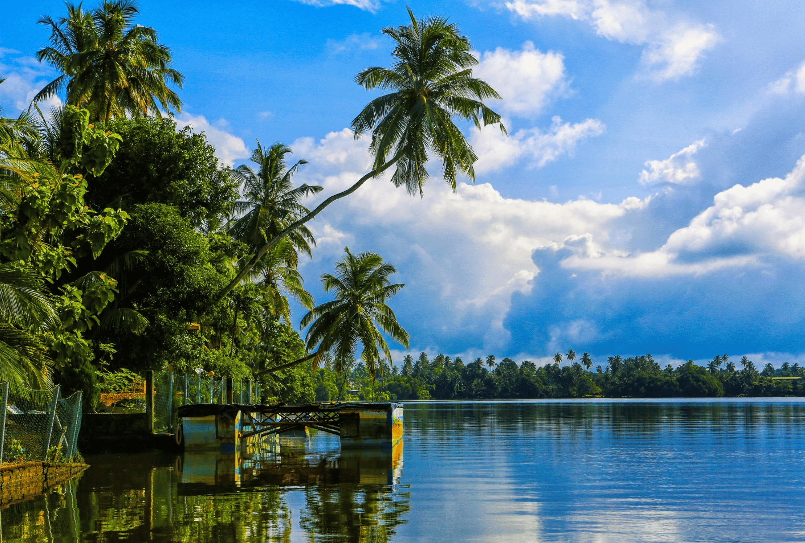 Untitled design - 2025-09-01T142823.261